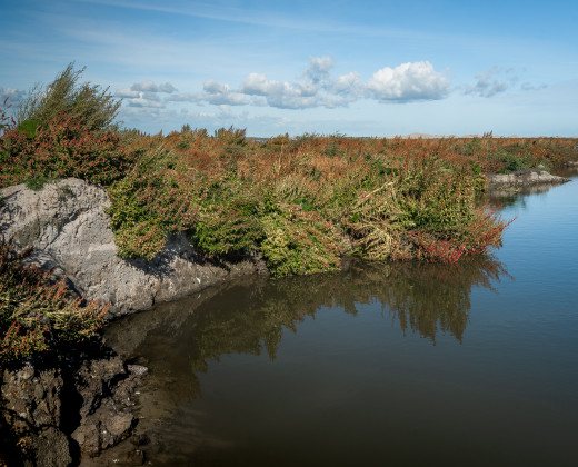 Markerwadden. Credits: Perro de Jong/NIOO-KNAW